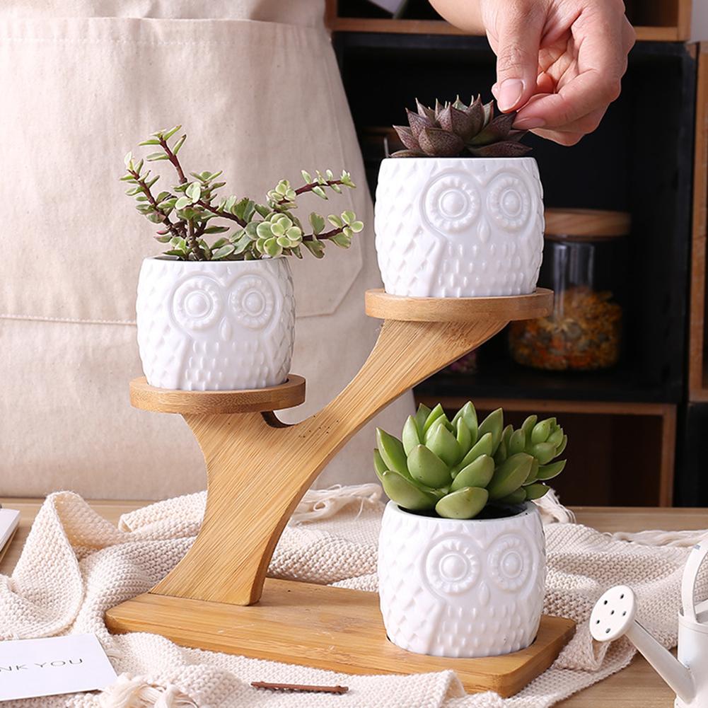 Succulent Pots &amp; Bamboo Shelf | Bounti4rose